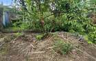 0.444 ac Residential Land at Green Castle - 6