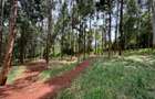 Land in Uthiru - 1