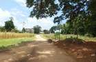 0.05 ha Residential Land at Mtwapa Mtwapa - 11