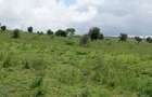 0.125 ac Land in Athi River - 3
