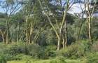 5.5 ac Land in Naivasha - 2