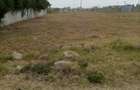 0.25 ac Land at Syokimau Road - 10