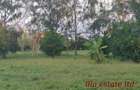 0.25 ac Residential Land at Diani Beach Road - 6