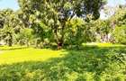 Land at Mtwapa - 17