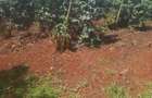 403 ac Land at Near Tatu City Estate - 3