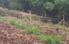 Land in Ngong - 3
