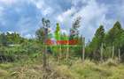 0.05 ha Residential Land at Migumoini - 4