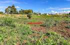 0.1 ha Commercial Land at Muguga - 13