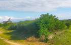 18 ac Land at Kilifi- Chumani Mombasa Malindi Highway - 13