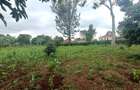 Land at Mimosa Road - 5