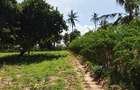 Land at Kilifi Tezo - 19