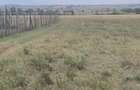 3 ac Residential Land in Naivasha - 4