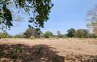 75 ac Land at Vipingo - 6