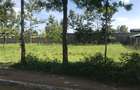 10,000 ft² Land at Kenol Town Front Row - 11