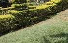 0.75 ac Land in Lavington - 2