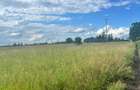 Land at Sunshine - 5