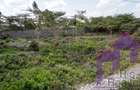 505 m² Residential Land at Muthaura Road - Rimpa - 6