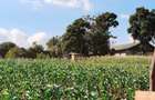 2 ac Land at Off Tigoni - Kabuku Rd - 3