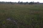 0.25 ac Land in Ongata Rongai - 13