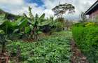 3 Bed House with En Suite in Ongata Rongai - 8