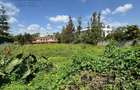 0.5 ac Land at Un Avenue - 5