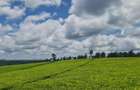 420 ac Land at Kiambu - 4