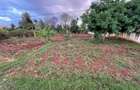 0.5 ac Land at Gatanga Road - 3