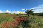 Land in Ruiru - 2