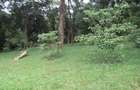 4 ac Land at Mushroom Gardens - 2