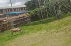 Land in Ngong - 3