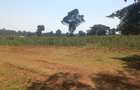 1 ac Land at Kerarapon Drive - 6