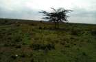 Land at Nanyuki-Rumuruti Rd - 16