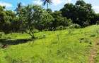 Land at Vipingo - 3