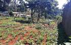 Land in Ruaka - 3
