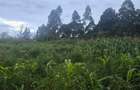 1 ac Land at Gicharani - 11