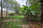 0.5 ac Land in Kitisuru - 1