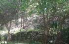 0.75 ac Residential Land at Naivasha Road - 2