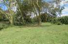 25 ac Land at Moi S Lake Rd - 11