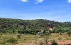 0.125 ac Residential Land at Lusigetti - 1
