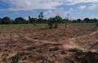 13 ac Land at Majaoni - 2