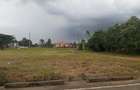 0.5 ac Residential Land in Karen Hardy - 12