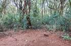 2 Bed House with En Suite at Karen - 2