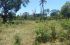 40 ac Residential Land in Kilifi - 1