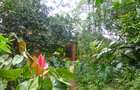 2 Bed Townhouse with En Suite in Kyuna - 18