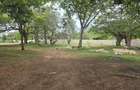 Commercial Land at Mt Kenya - 7