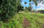 Residential Land at Ndege Road - 9