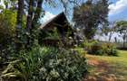 3 Bed House with Staff Quarters in Nyari - 12