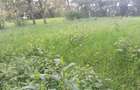 Land at Kibiko Ngong - 14