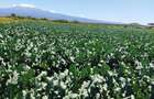 60 ac Land in Kajiado County - 1