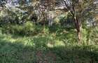 0.5 ac Land in Karen Hardy - 6